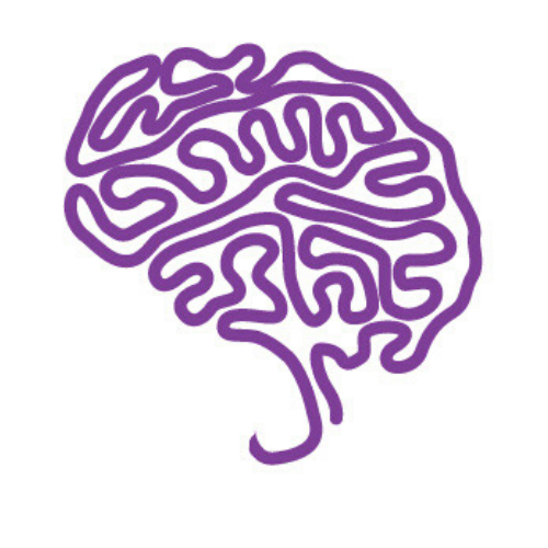 brain outline