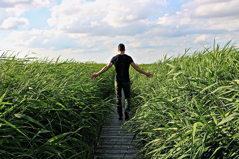 A man walking through a field of long grass with arms outstretched and a cloudy but blue sky.