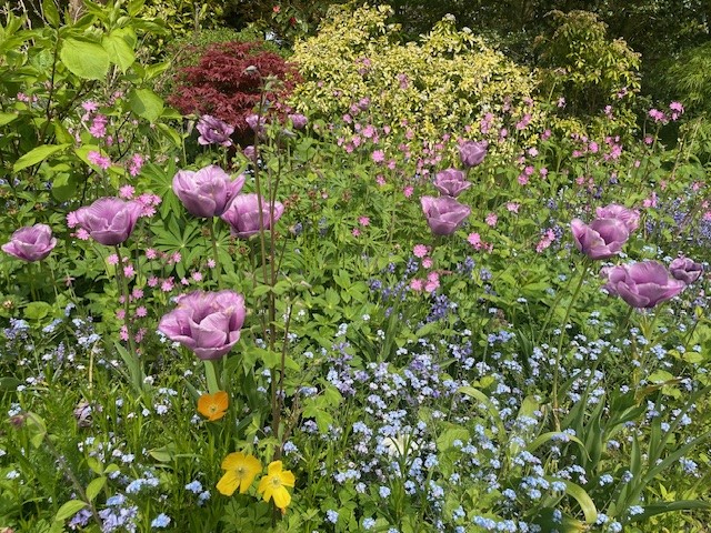 Wildflowers.