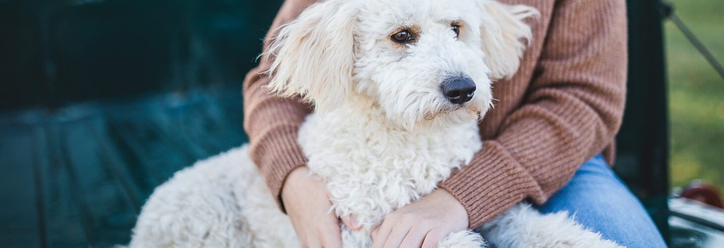 A person cuddling a dog.