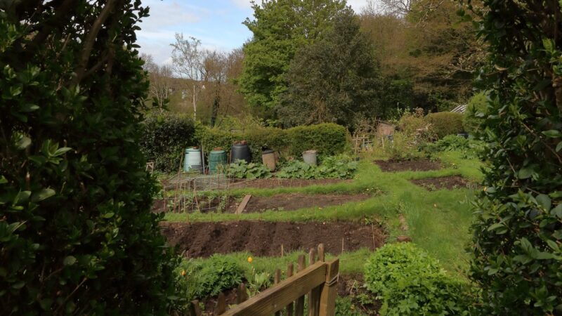 a garden view