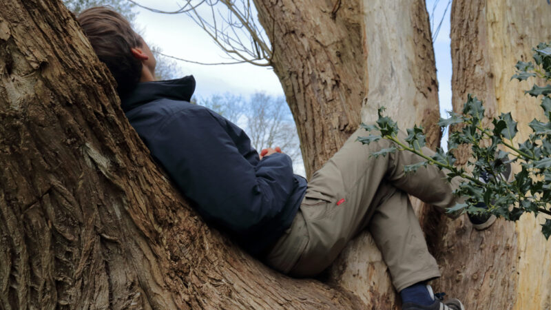 man sat in a tree thinking