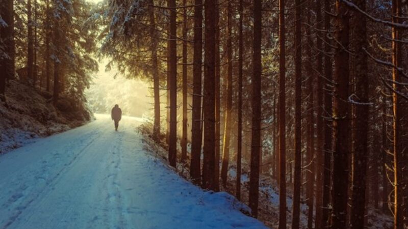 A person walking through snow-covered woodland