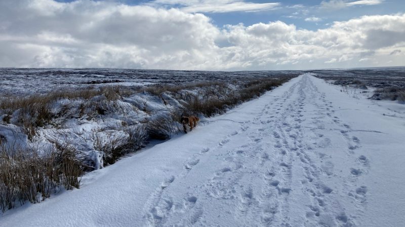 footprints in the snow on the moor tops